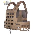 Tasmanian Tiger QR SK Anfibia MK II plate carrier - több színben