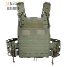 Tasmanian Tiger QR SK Anfibia MK II plate carrier - több színben