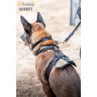 5.11 Tactical Aros K9 nyakörv Cobra csattal 3,8 cm széles - több méretben és színben