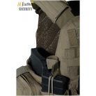 Warrior Assault Systems (WAS) DCS DA M4 5.56MM Plate Carrier - coyote tan színben